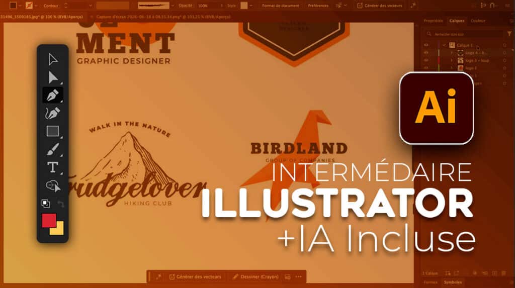 Formation Illustrator Intermédiaire en marque blanche